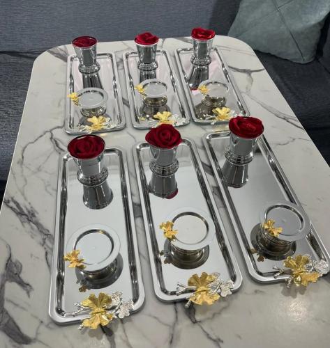 ضيافه تركيه