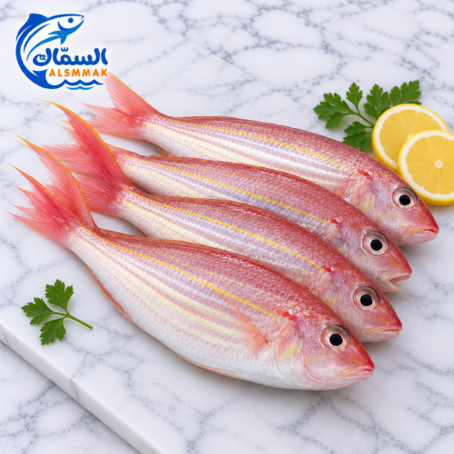 سمك سلطان ابراهيم طازج