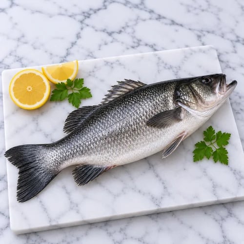 سمك سيباس (قاروص) طازج