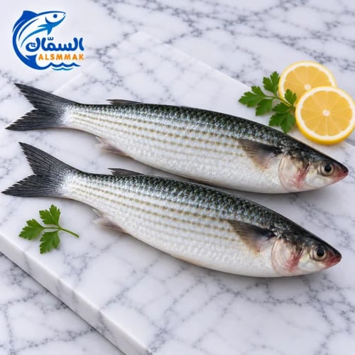 سمك بوري طازج