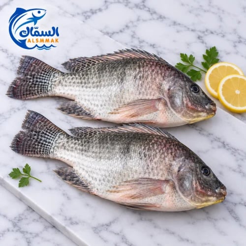 سمك بلطي طازج