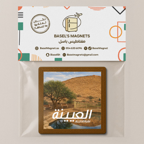 مغناطيس العيينة