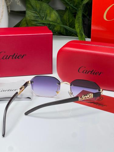 نظارة - Cartier ماستر كواليتي