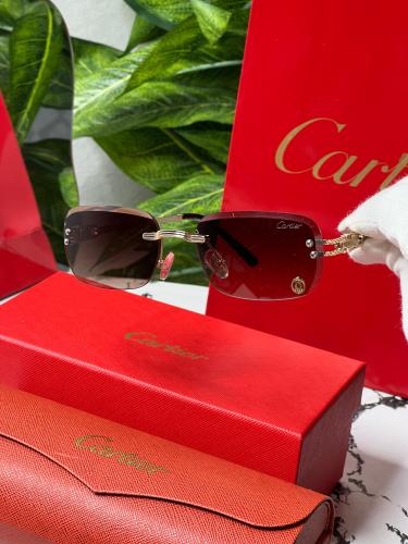 نظارة - carter المشهورة