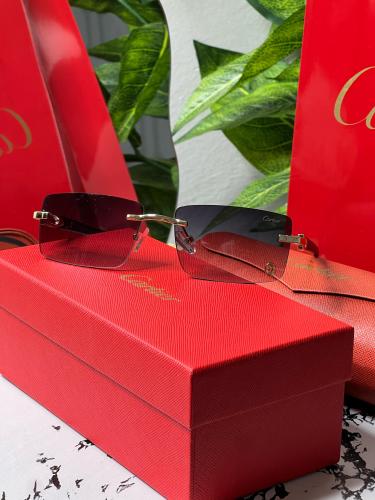 نظارة - carter المشهورة