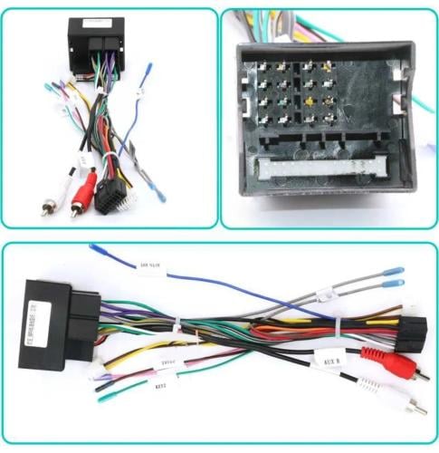 فيش جمس دينالي امريكي