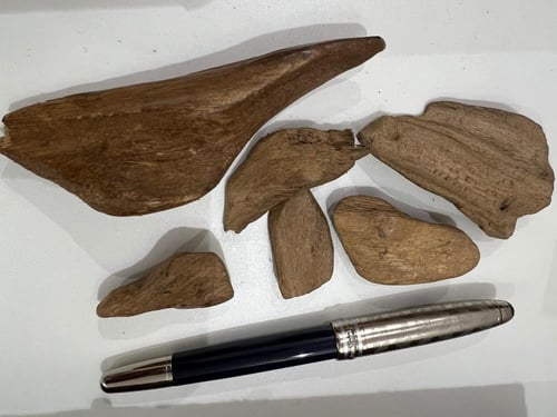 موروكي آصقون طبيعي