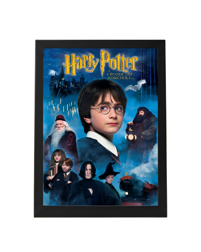 لوحة فنية لفيلم Harry Potter - مقاس A4