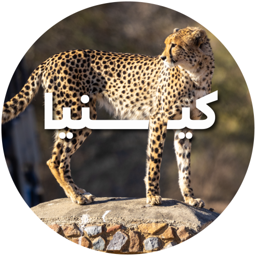 رحلة كينيا