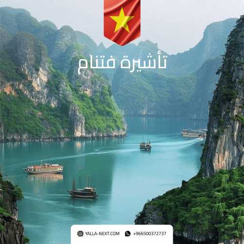 فيزا فيتنام الالكترونية