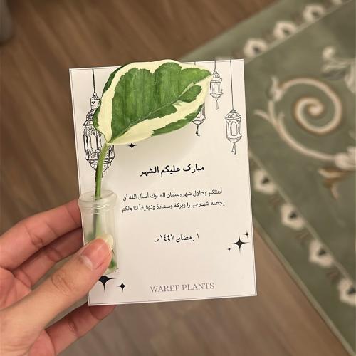 كرت الفوانيس