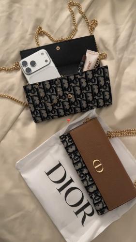 Dior أوبليك براون أورا (Dior Oblique Brown Aura)