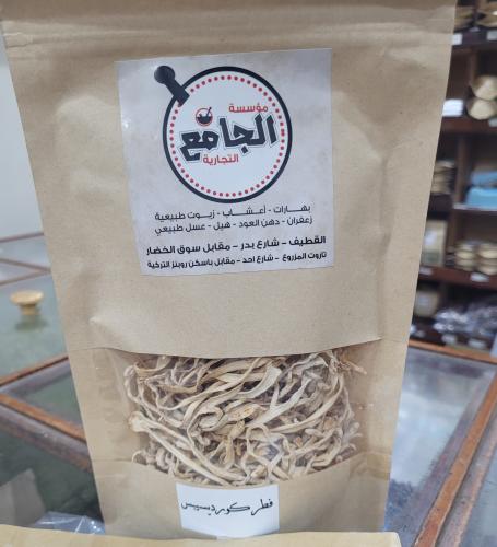 فطر كورديسيبس