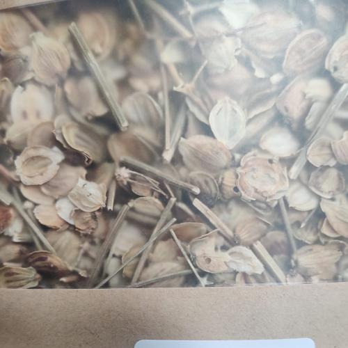 قديسين القديس يوحنا القديس جونز ( 65 جرام )