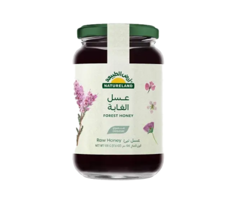 عسل الغابة ( 500 جرام )