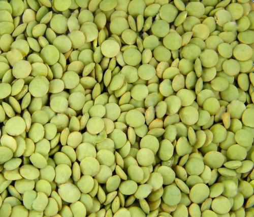عدس أخضر ( دال ) ( 1 كيلو )