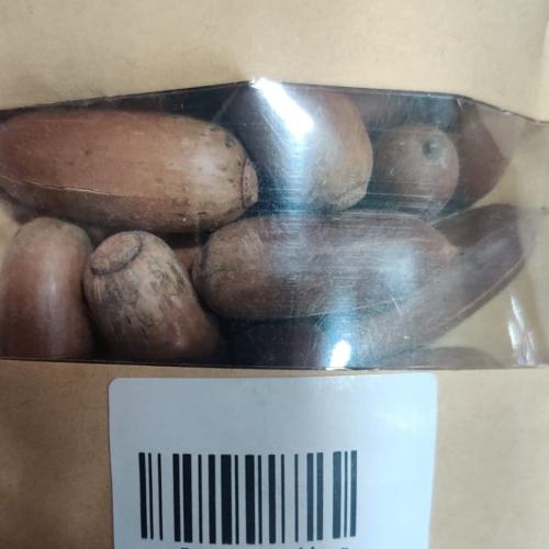 بلوط ( 50 غرام )