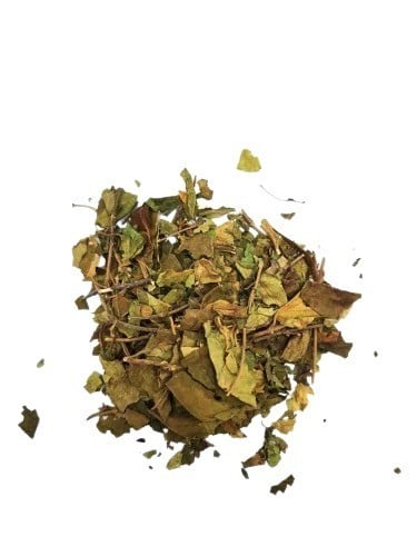 جمنمينا ( 95 غرام )