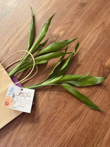 توزيعات يوم المعلم ساق البامبو+كرت اهداء 2