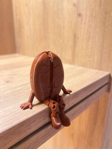 انسة بُنة| صغير بني