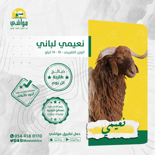 نعيمي لباني