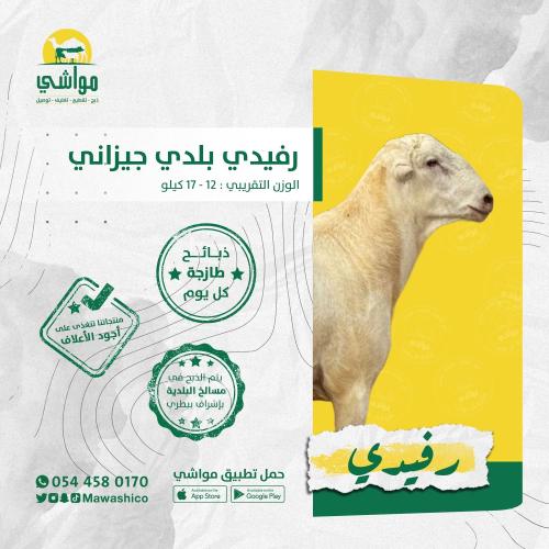 رفيدي بلدي جيزاني