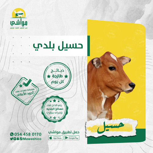 حسيل بلدي
