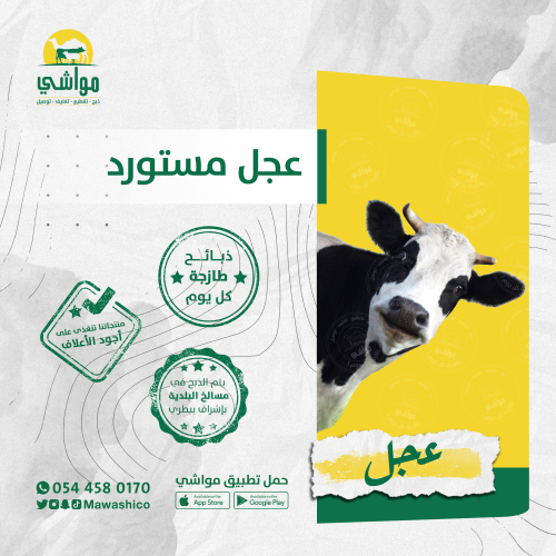 عجل مستورد