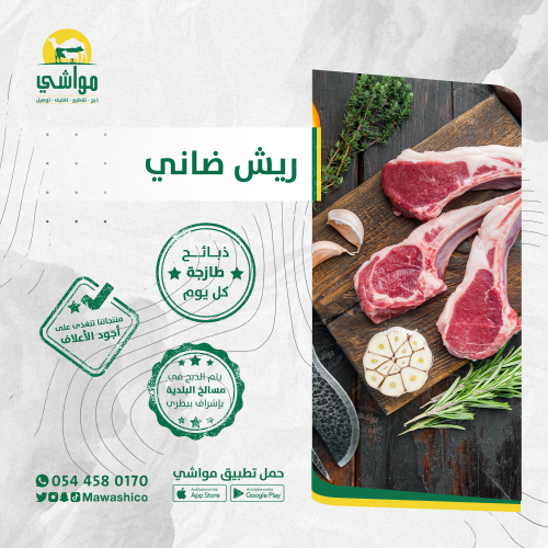 نص كيلو ريش ضاني