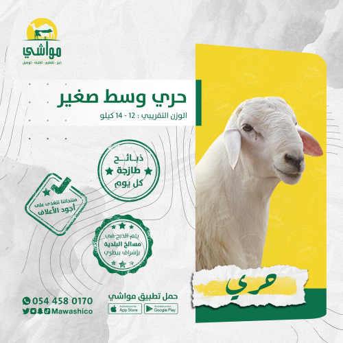 حري وسط صغير