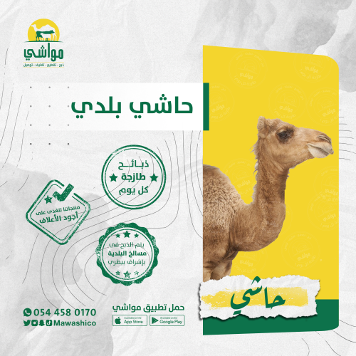حاشي بلدي