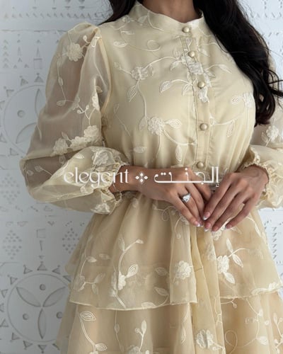 فستان أنيق بتطريز ناعم وقصة متدرجة