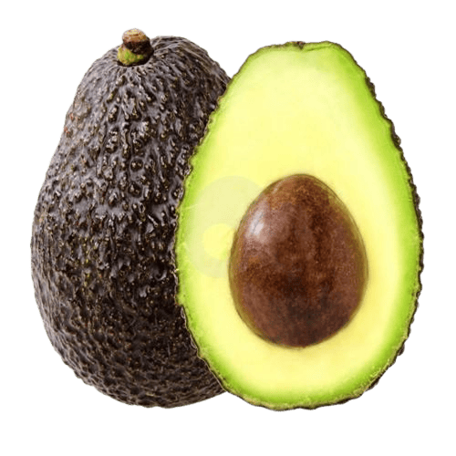 افوكادو امريكي