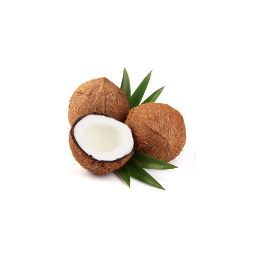 جوز الهند