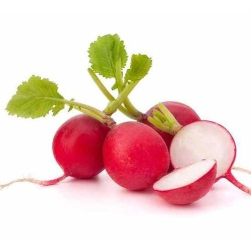 فجل احمر