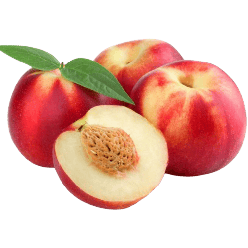 نكترين