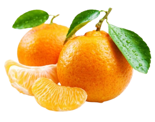 يوسف افندي ( يوسفي )
