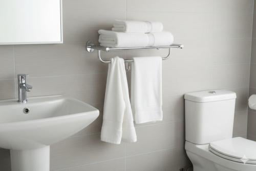 Raf towels Rorain Steel