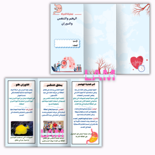 مطوية عمليات الحياة (الهضم والدوران والتنفس)