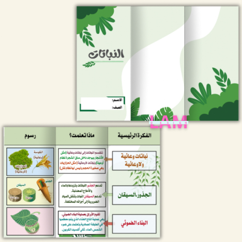 مطوية النباتات
