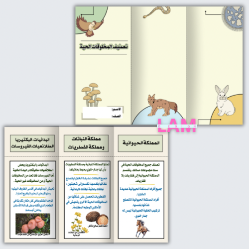 مطوية تصنيف المخلوقات الحية