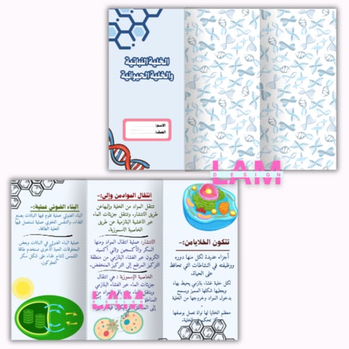 مطويات علوم سادس الترم الأول كامل