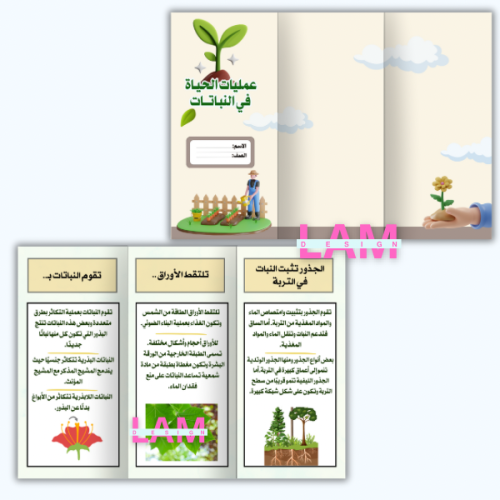 مطوية عمليات الحياة في النباتات