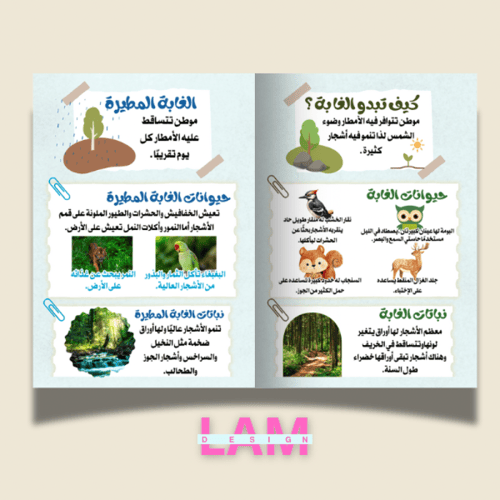 مطوية الغابات