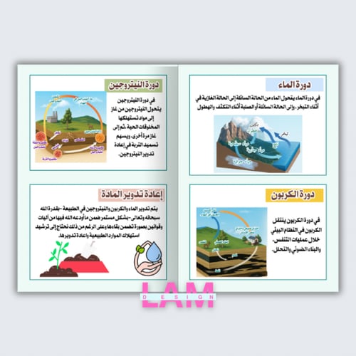 مطوية الدورات في الأنظمة البيئية