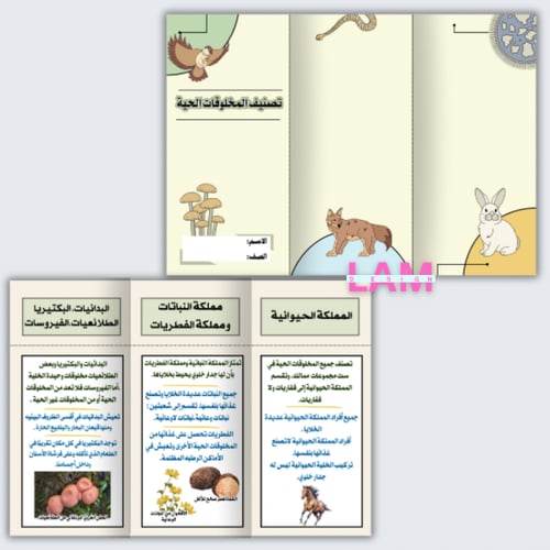مطويات علوم خامس كامل الترم (١٢مطوية )