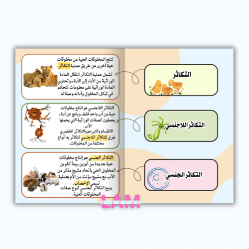 مطوية التكاثر