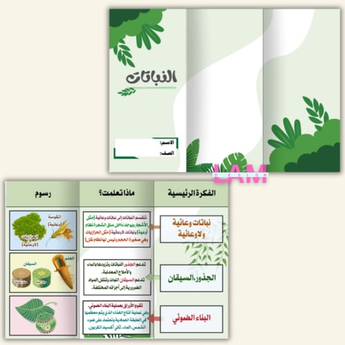 مطويات علوم خامس كامل الترم (١٢مطوية )