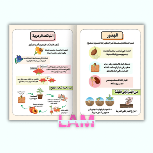 مطوية دورات حياة النباتات