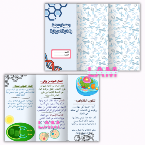 مطوية الخلية النباتية والخلية الحيوانية